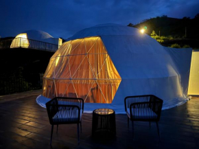 Stargaze India